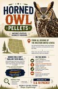 10 Horned Owl Pellet Pack