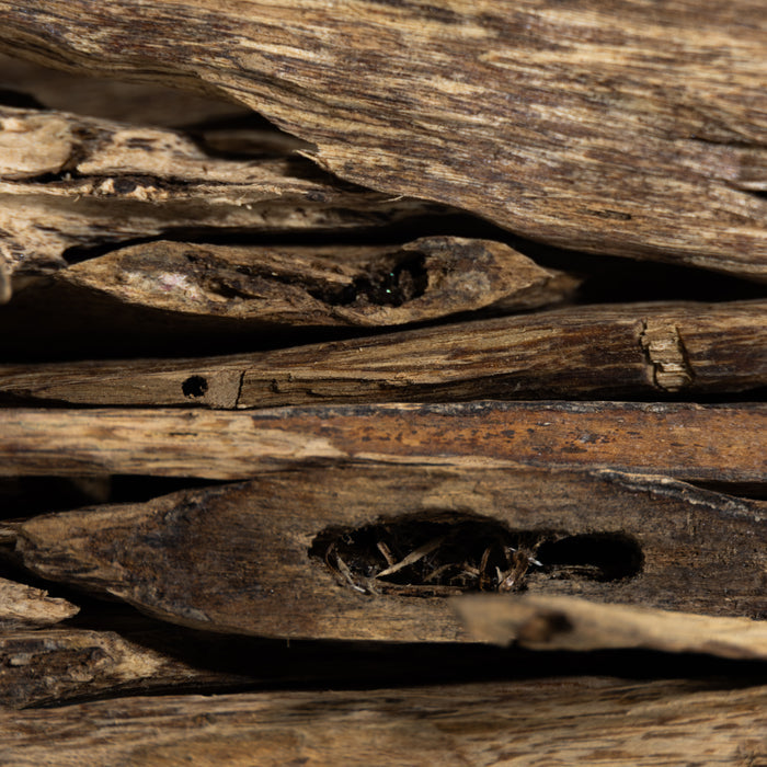 Close-up of dark resin patterns in natural agarwood chips