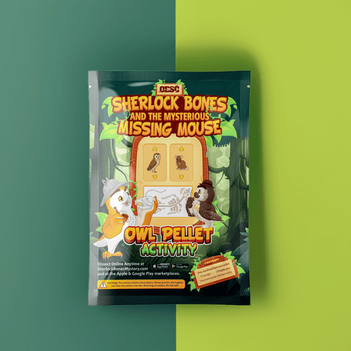 3 Pack + Sherlock 3 Bones Guides + Tools