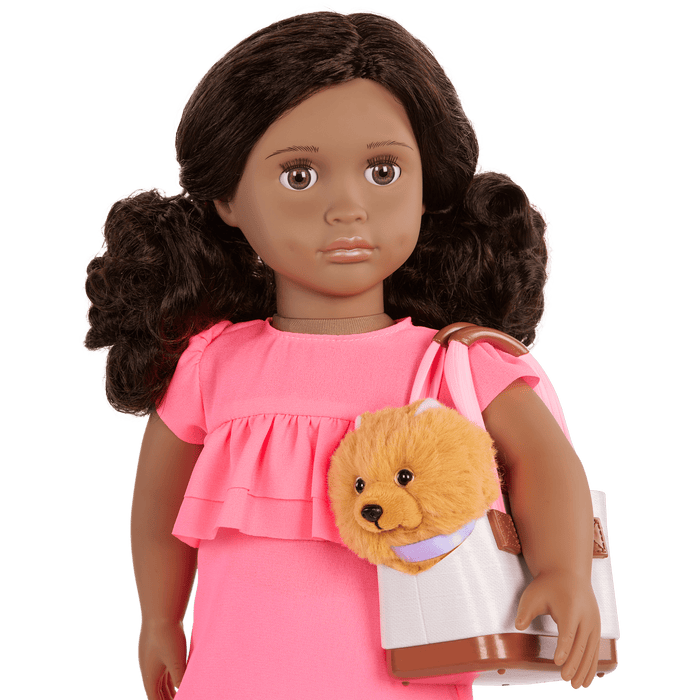 Our Generation 18-inch Doll Ayanna and her pet dog Goldie and dog accessories
