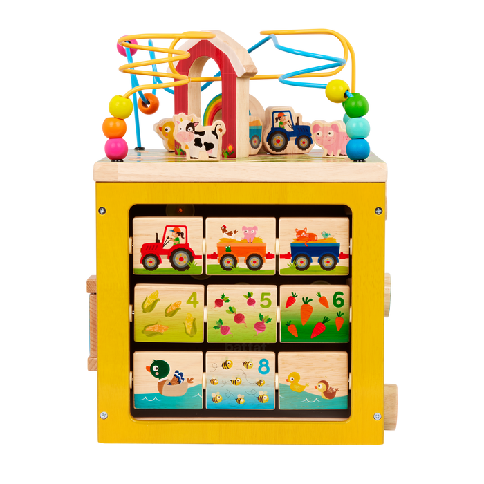 Barnyard Activity Cube