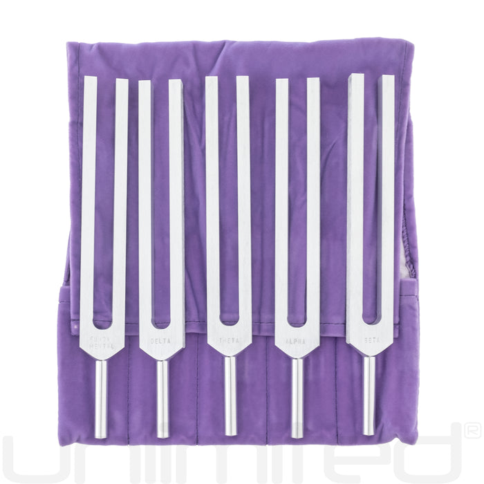 Biosonics Set of 5 Brain Tuners with Purple Velvet Pouch - Gongs Unlimited