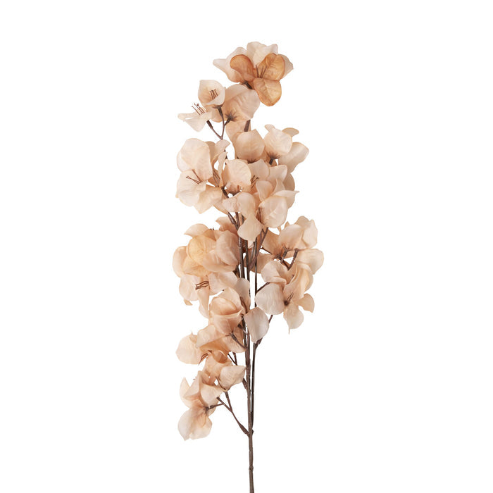 Bloomery Bougainvillea Stem Peach 86cm