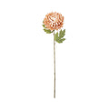 Bloomery Chrysanthemum Stem Peach 61cm
