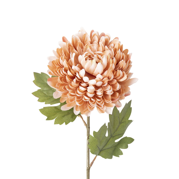 Bloomery Chrysanthemum Stem Peach 61cm