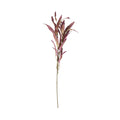 Bloomery Eucalyptus Stem 75cm