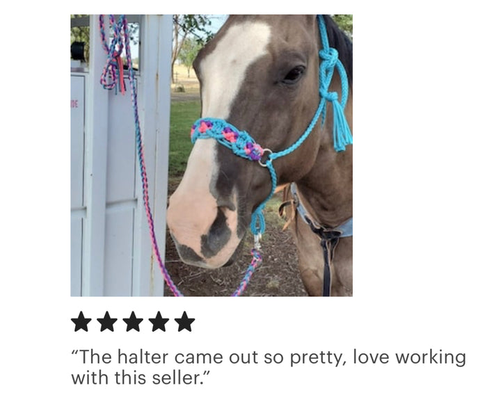 Braided horse halter hot pink,neon turquoise, and purple - Tiffanys Braided Tack LLC