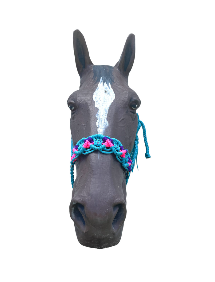 Braided horse halter hot pink,neon turquoise, and purple - Tiffanys Braided Tack LLC