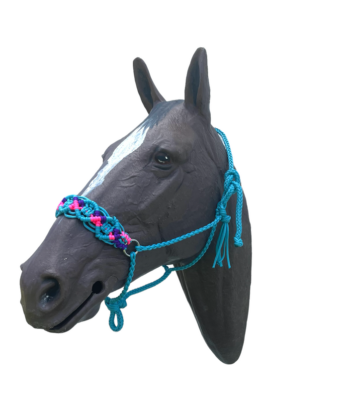 Braided horse halter hot pink,neon turquoise, and purple - Tiffanys Braided Tack LLC