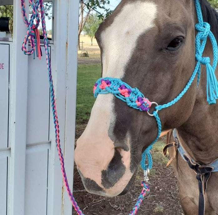 Braided horse halter hot pink,neon turquoise, and purple - Tiffanys Braided Tack LLC