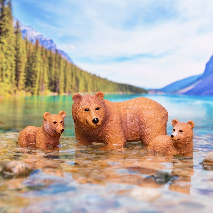 brown bear
