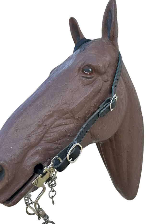 Butter soft black and turquoise leather one ear  Headstall with quick change buckles horse size - Tiffanys Braided Tack LLC