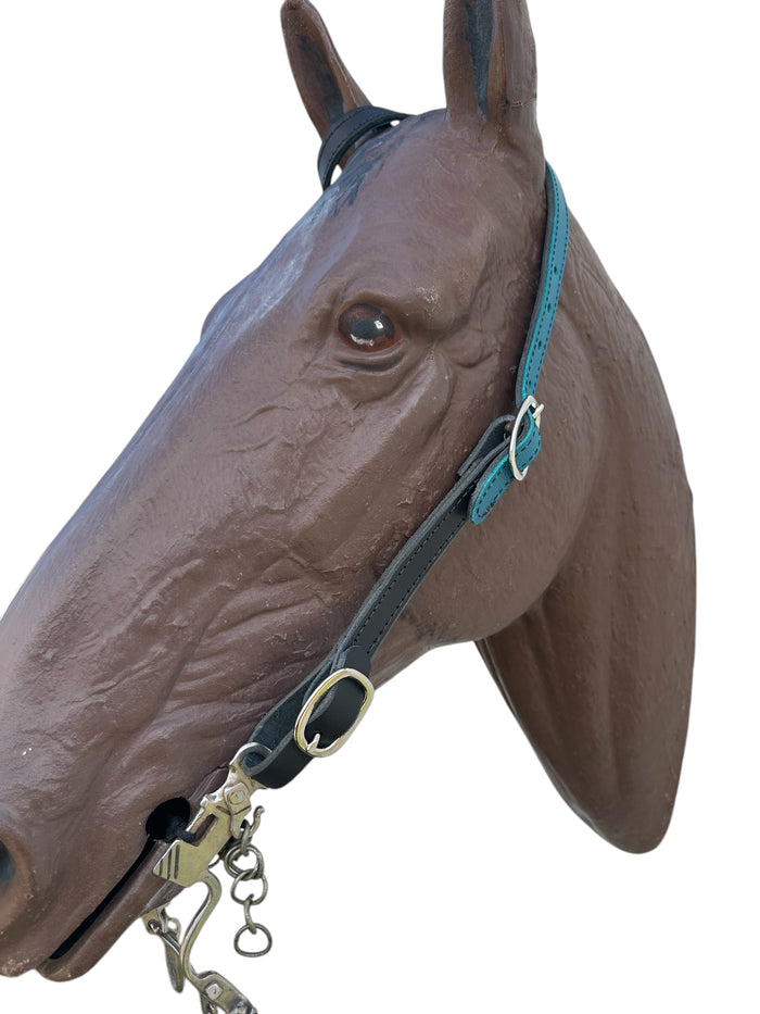 Butter soft black and turquoise leather one ear  Headstall with quick change buckles horse size - Tiffanys Braided Tack LLC