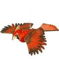 Cardinal