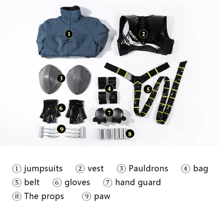 Catwoman Jumpsuit – Absolute Batman Full Set Replica - Women Adult Cosplay