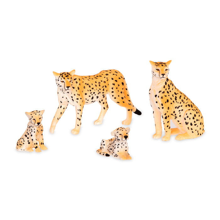 cheetah