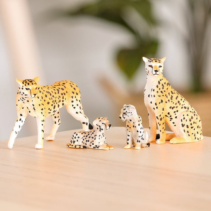 cheetah