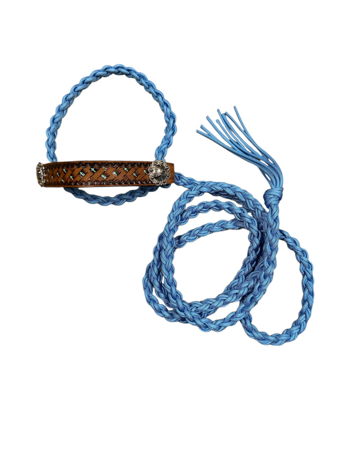 cow halter mini cow  or calf