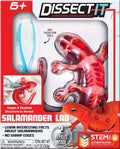 Dissect It Salamander Lab - 2 Refills!