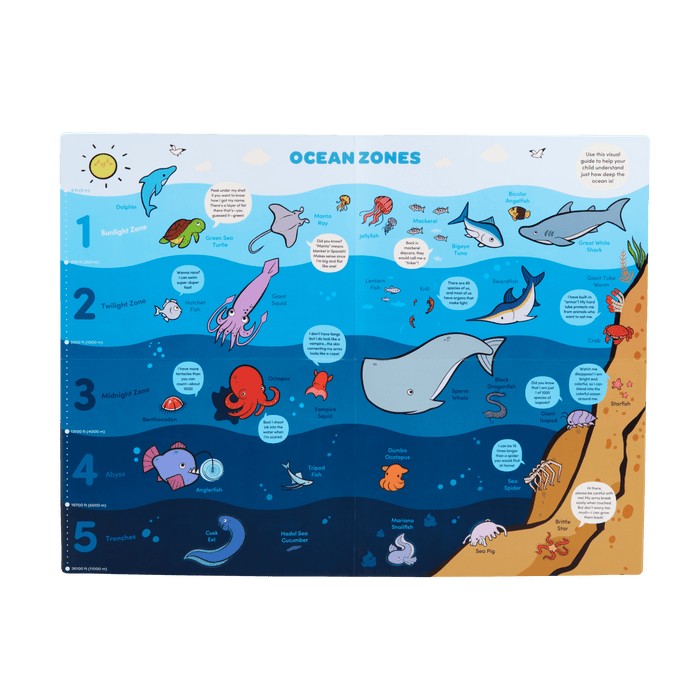 Ocean playset with color-changing book, fact cards, water pen, and a booklet.