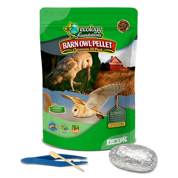 Ecology Foundations Classroom Essentials for Teaching 10 Students