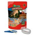 Ecology Foundations Classroom Essentials for Teaching 20 Students
