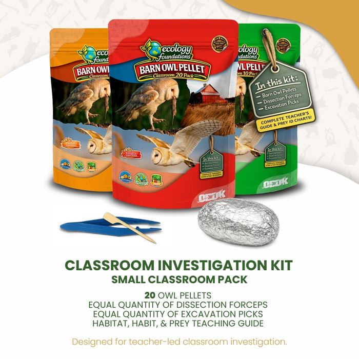 Ecology Foundations Classroom Essentials for Teaching 20 Students