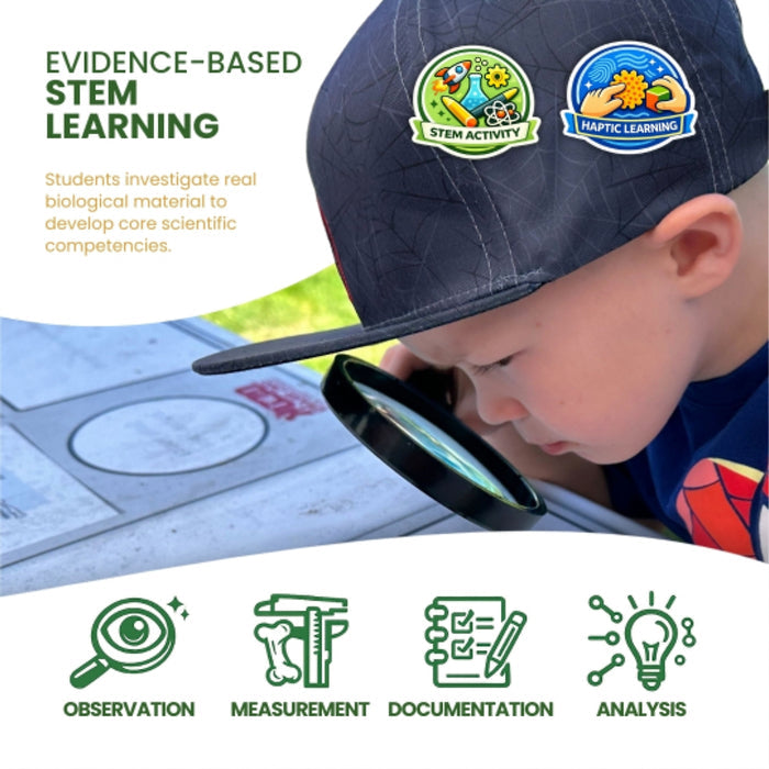 Ecology Foundations Classroom Essentials for Teaching 20 Students