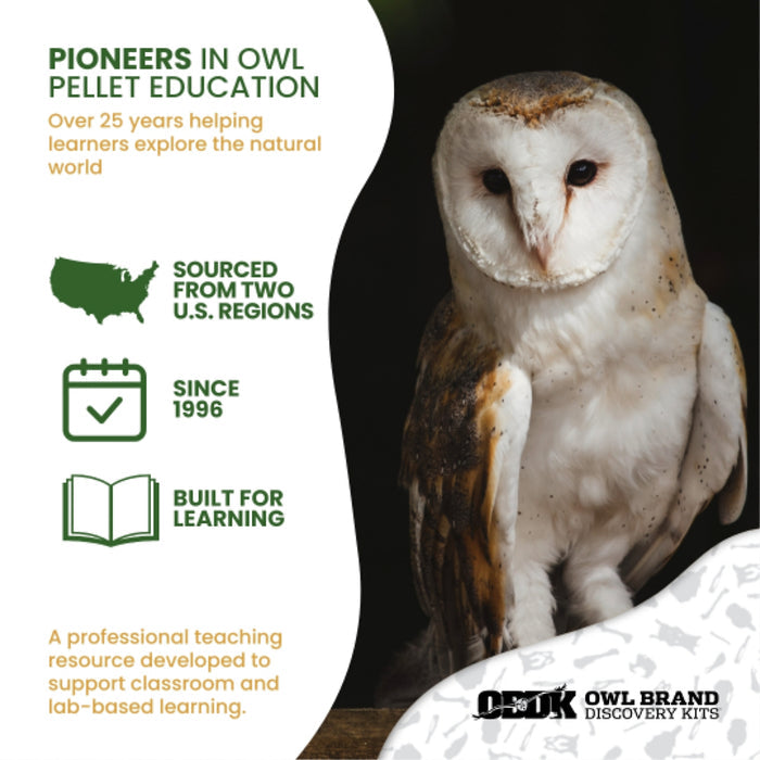 Ecology Foundations Classroom Essentials for Teaching 20 Students