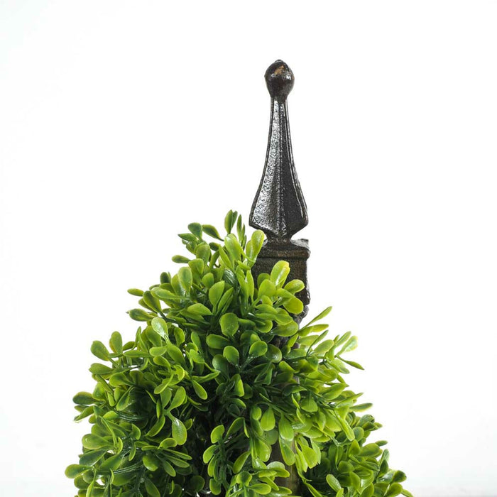 Eden Small English Box Plant