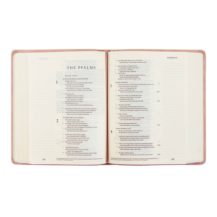 ESV Journaling Bible : Shiloh Theme