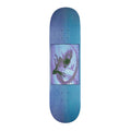 Evolution - A Deck