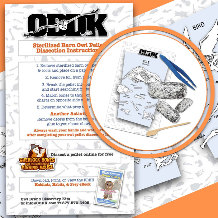 5 Large 1-Pack Exploration Activities dissection instructions with owl pellets and tools for wildlife education.