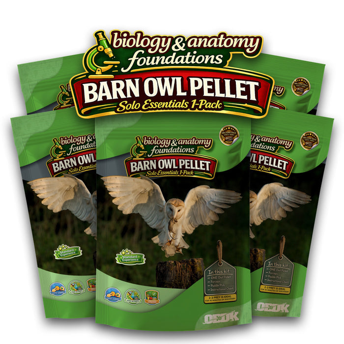 FIVE Biology & Anatomy Foundations Solo Essentials Medium Sterilized Barn Owl Pellet Activities