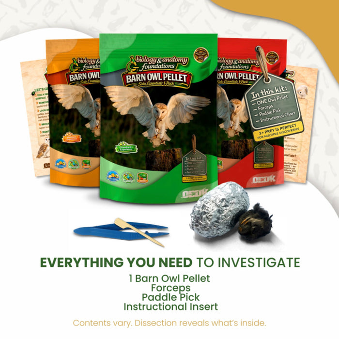 FIVE Biology & Anatomy Foundations Solo Essentials Medium Sterilized Barn Owl Pellet Activities