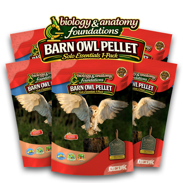 FIVE Biology & Anatomy Foundations Solo Essentials Small Barn Owl Pellet Activities
