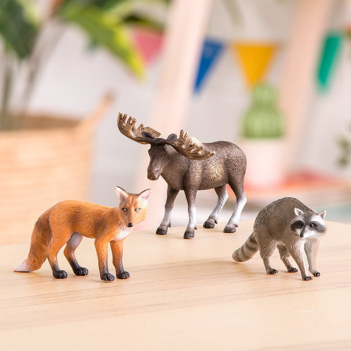 forest animals