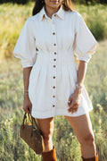 Francis fall collared mini dress