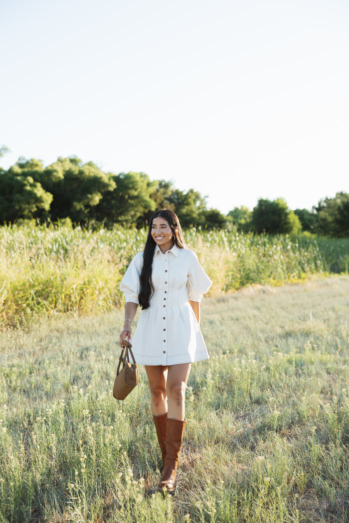 Francis fall collared mini dress