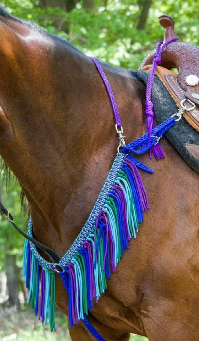 fringe breast collar peacock.