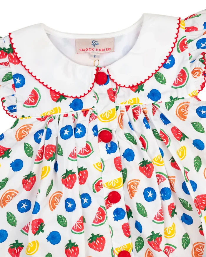 Fruit Block Print Dress