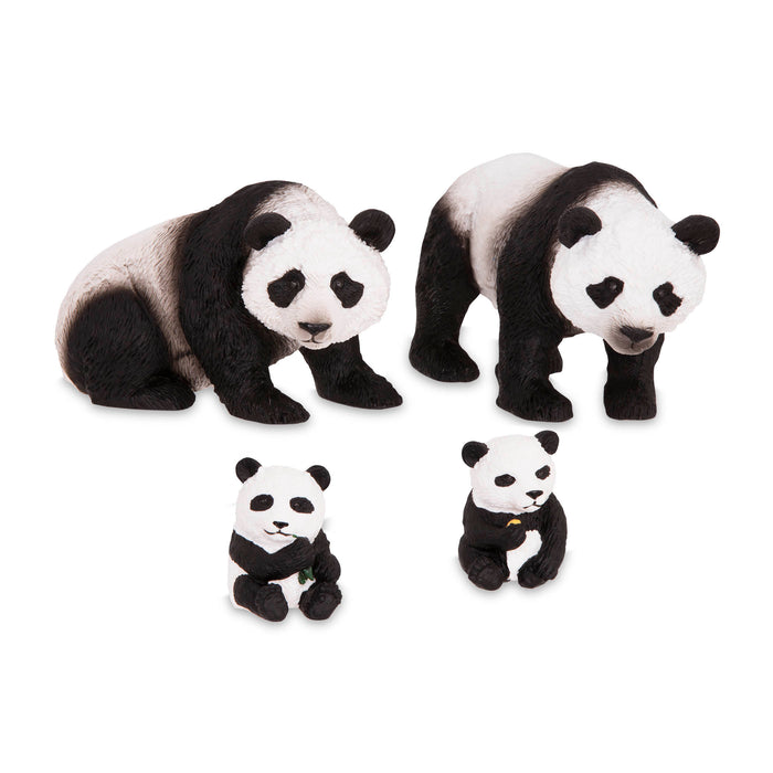 panda black white