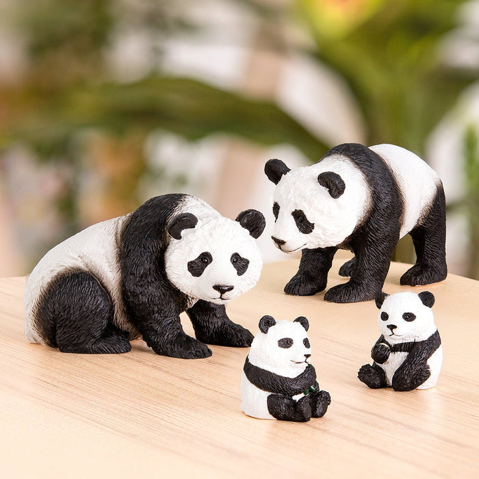 panda black white