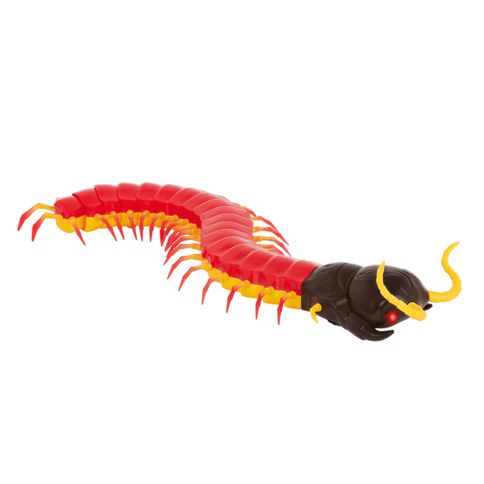 RC centipede remote control bug insect toy for kids
