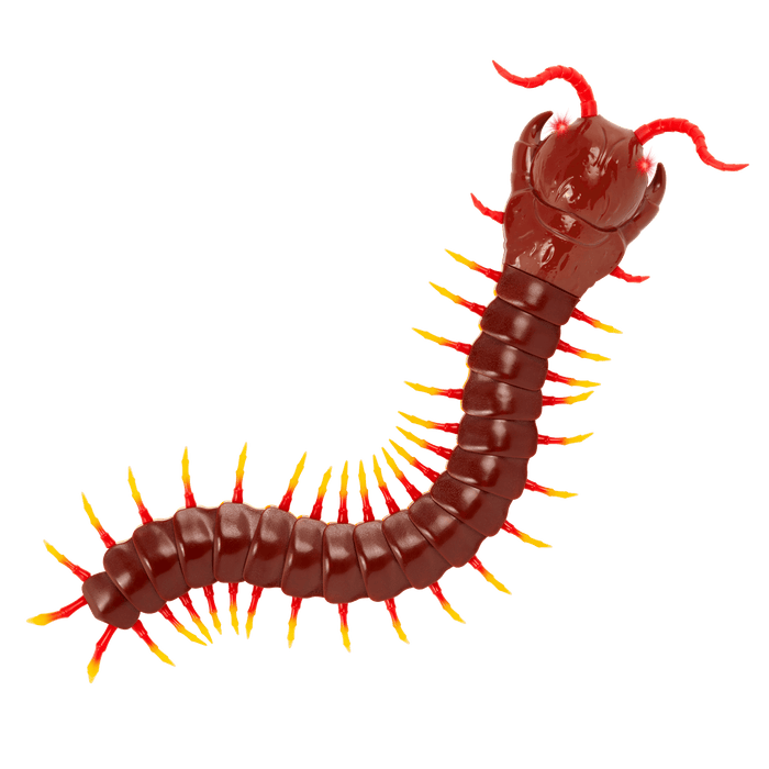 Remote control giant centipede toy