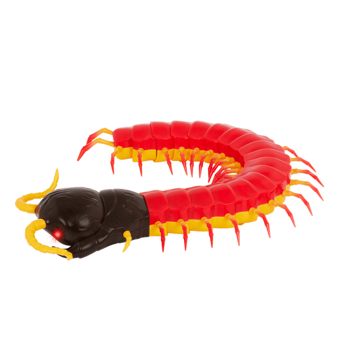 RC centipede remote control bug insect toy for kids