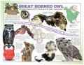 Great Horned Owl Poster