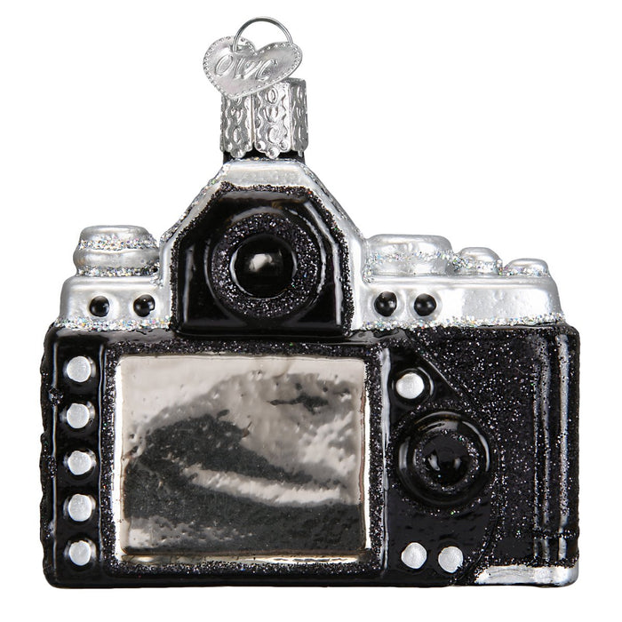 Camera ornment
