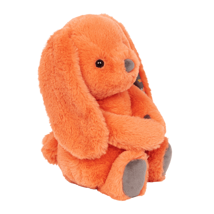 Plush bunny and board book.
