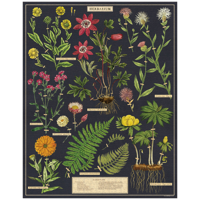 A completed 1,000-piece jigsaw puzzle featuring vintage botanical illustrations of various flowers and plants.